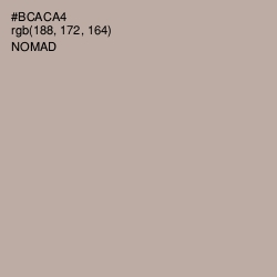 #BCACA4 - Nomad Color Image
