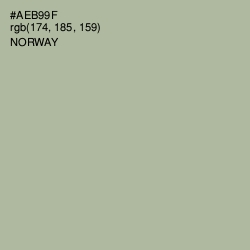 #AEB99F - Norway Color Image