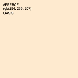 #FEEBCF - Oasis Color Image