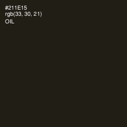 #211E15 - Oil Color Image