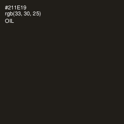 #211E19 - Oil Color Image