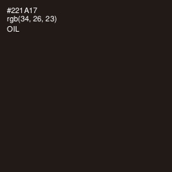 #221A17 - Oil Color Image