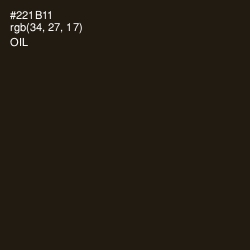 #221B11 - Oil Color Image