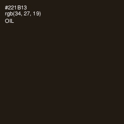 #221B13 - Oil Color Image