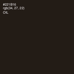 #221B16 - Oil Color Image