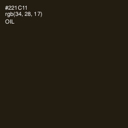 #221C11 - Oil Color Image
