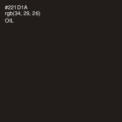 #221D1A - Oil Color Image
