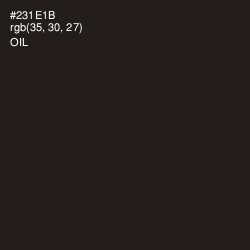 #231E1B - Oil Color Image