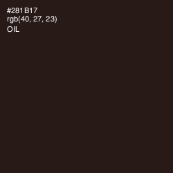 #281B17 - Oil Color Image