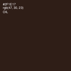 #2F1E17 - Oil Color Image