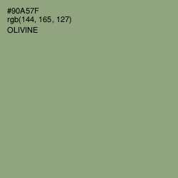 #90A57F - Olivine Color Image