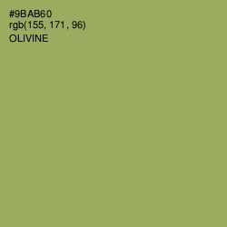 #9BAB60 - Olivine Color Image