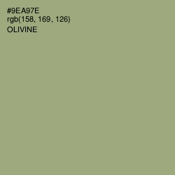 #9EA97E - Olivine Color Image