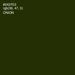 #242F03 - Onion Color Image