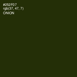 #252F07 - Onion Color Image