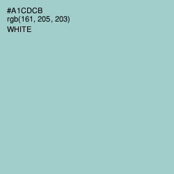 #A1CDCB - Opal Color Image