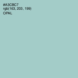 #A3CBC7 - Opal Color Image