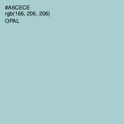 #A6CECE - Opal Color Image