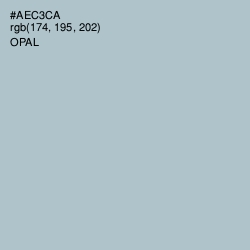 #AEC3CA - Opal Color Image