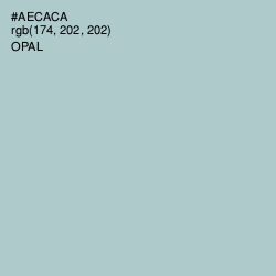 #AECACA - Opal Color Image