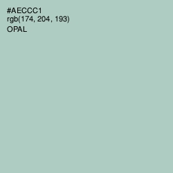 #AECCC1 - Opal Color Image
