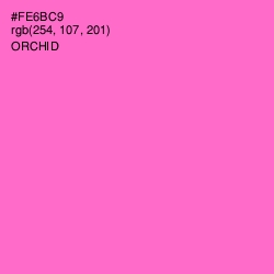 #FE6BC9 - Orchid Color Image