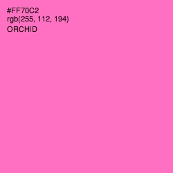#FF70C2 - Orchid Color Image