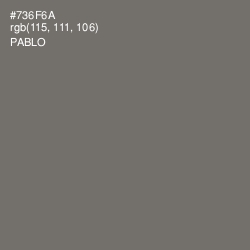 #736F6A - Pablo Color Image