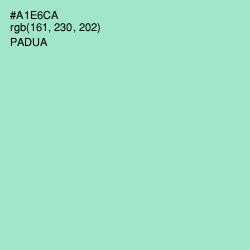 #A1E6CA - Padua Color Image
