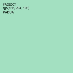 #A2E0C1 - Padua Color Image