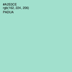 #A2E0CE - Padua Color Image