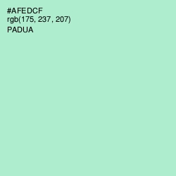 #AFEDCF - Padua Color Image
