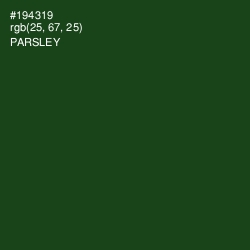 #194319 - Parsley Color Image