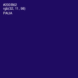 #200B62 - Paua Color Image