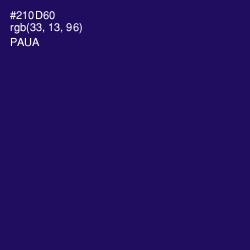 #210D60 - Paua Color Image