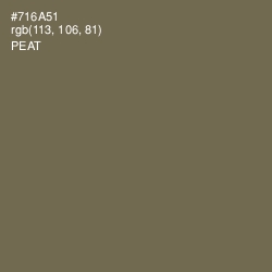 #716A51 - Peat Color Image