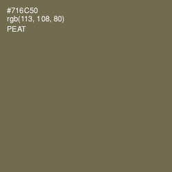 #716C50 - Peat Color Image