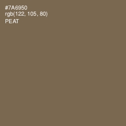 #7A6950 - Peat Color Image