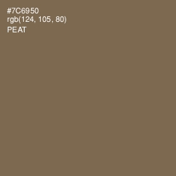 #7C6950 - Peat Color Image