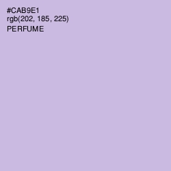 #CAB9E1 - Perfume Color Image