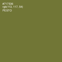 #717536 - Pesto Color Image