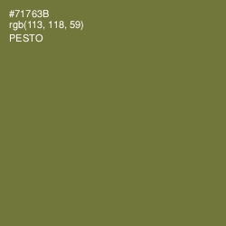 #71763B - Pesto Color Image