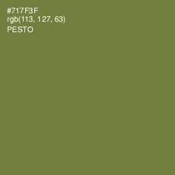 #717F3F - Pesto Color Image