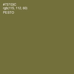 #73703C - Pesto Color Image