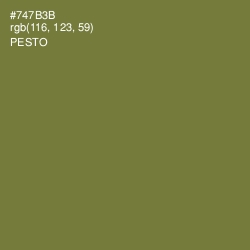 #747B3B - Pesto Color Image