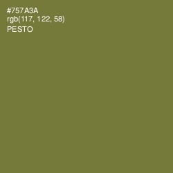 #757A3A - Pesto Color Image