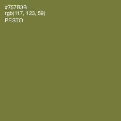 #757B3B - Pesto Color Image