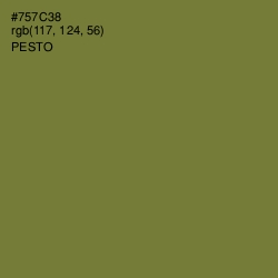 #757C38 - Pesto Color Image