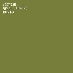 #757E3B - Pesto Color Image