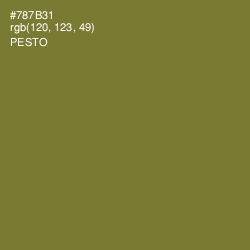 #787B31 - Pesto Color Image